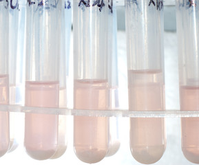 science biology medical test tube
