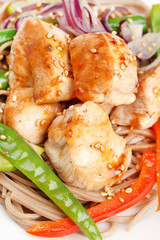 chicken with noodles and vegetables