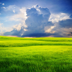 Fototapeta premium Rainstorm over meadow hill