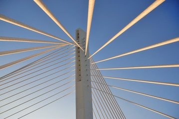 Obraz premium Bridge tower