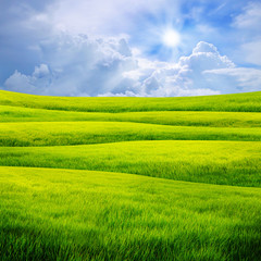 Field of grass and sun in blue sky.
