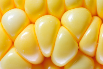 corn
