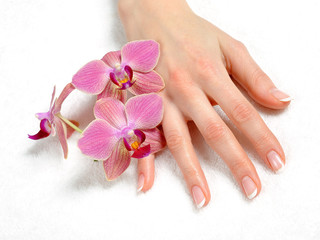 Beautiful hand with perfect nail french manicure and purple orch - 30242037