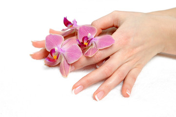 Obraz na płótnie Canvas Piękne ręcznie z doskonałym paznokci francuski manicure, purpurowe orch