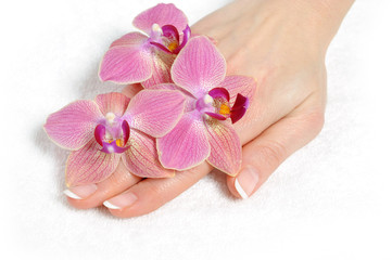 Fototapeta na wymiar Beautiful hand with perfect nail french manicure and purple orch