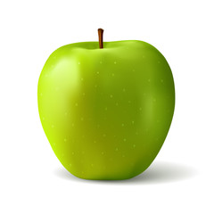 Green apple realistic illustration