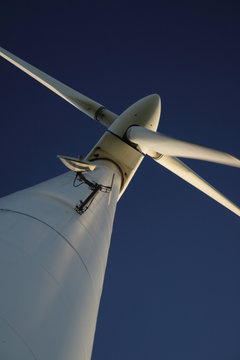 wind turbine