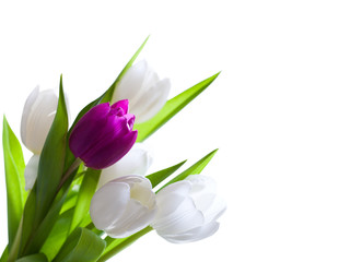 Tulpenstrauß