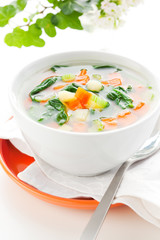 vegetable soup