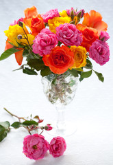 multi-colored roses