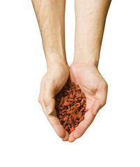 Baie de goji - épices et aliments
