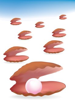pink pearl and empty shells