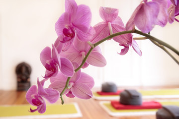 Rosa Orchidee und Yogakissen