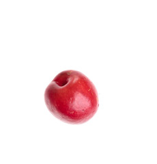 Plum on white isolated background