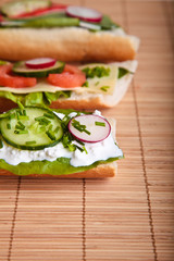 Different sandwiches with vegetables and cheese isolated