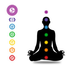 chakras, chakra