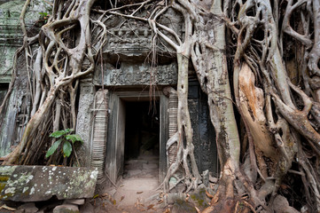 Temple of Ta Prohm in Angkor, Cambodia