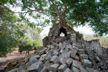 Fototapeta premium Beng Melea Temple