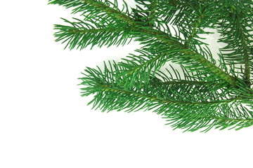 christmas branch fir-tree