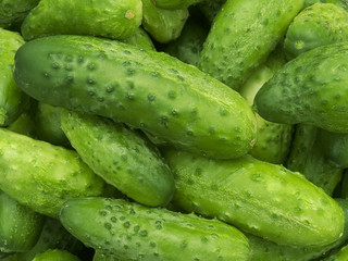 Cucumbers