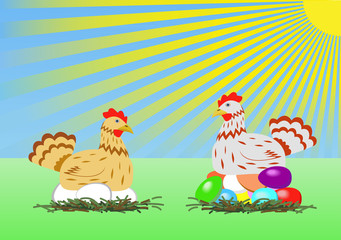 Chicken with easter eggs.