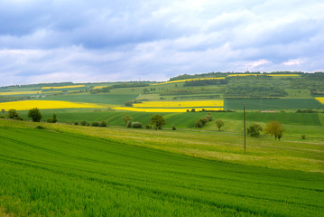 Fototapeta premium Fields, France
