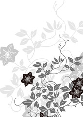 グラフィックパターン