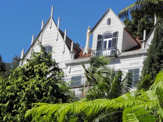Dächer über Funchal