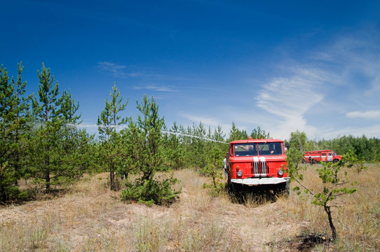 Two Fire Trucks