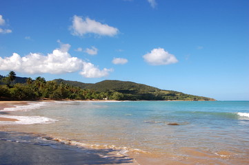 Plage de Cluny