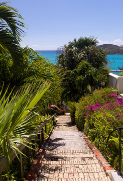 Steep 99 Steps In St Thomas