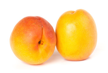 apricot