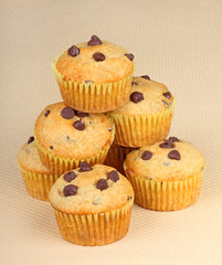 Chocolate Chip Muffins