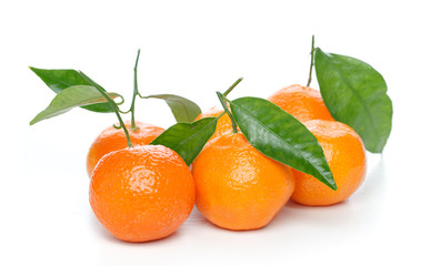 Tangerines with leaves isolated over white