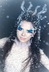 Beautiful brunette in a dress of Snow Queen