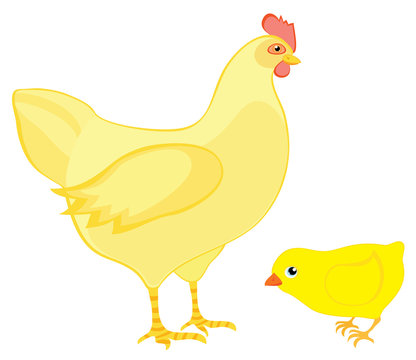 Hen with chicken