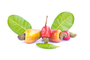 Cashew nut fruit - 30288021