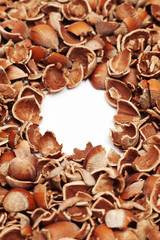 cracked hazelnut shells with blank copy space in the center