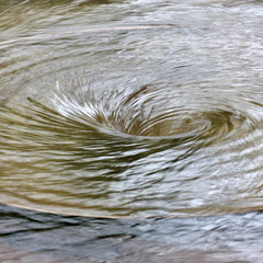 Down the Plug Hole