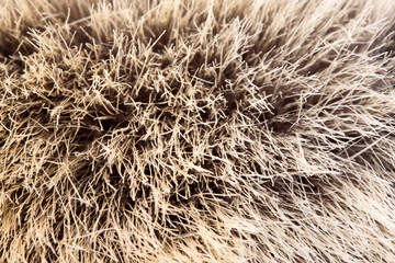 Animal fur
