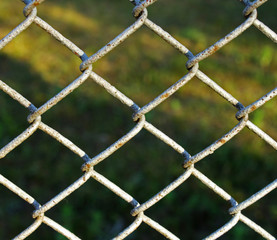Fototapeta premium Wire fence