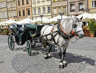 Obraz na płótnie Canvas Horse and Carriage