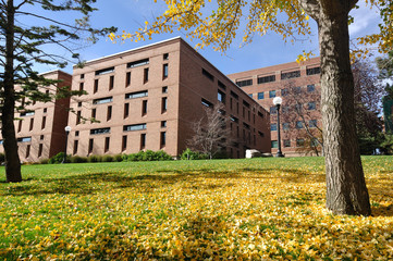 Brick Building on University Campus