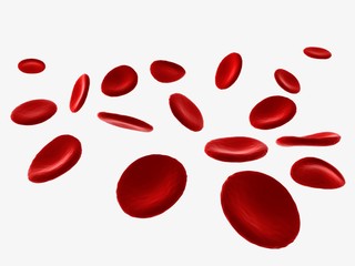 3D rendered blood cells flowing on white