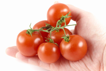red fresh bio tomato