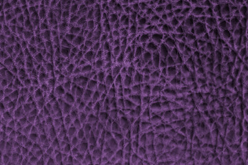 leather texture Purple