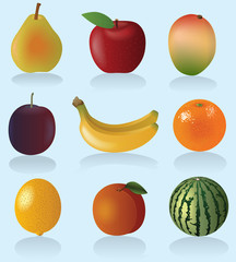 Fruit set