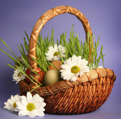 meadow in basket
