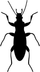 Black vector bug silhouette