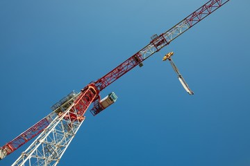 Fototapeta premium Crane